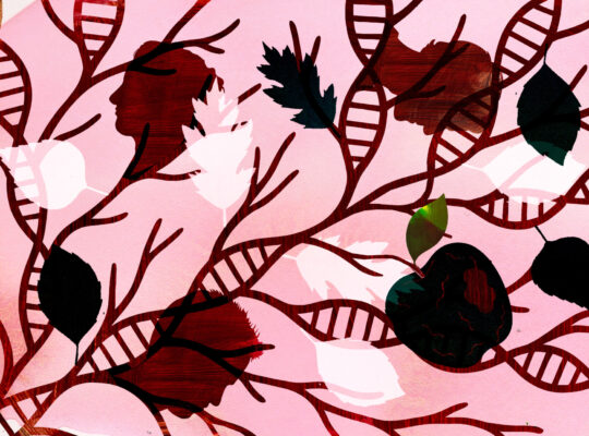 Truth, Lies and DNA Testing