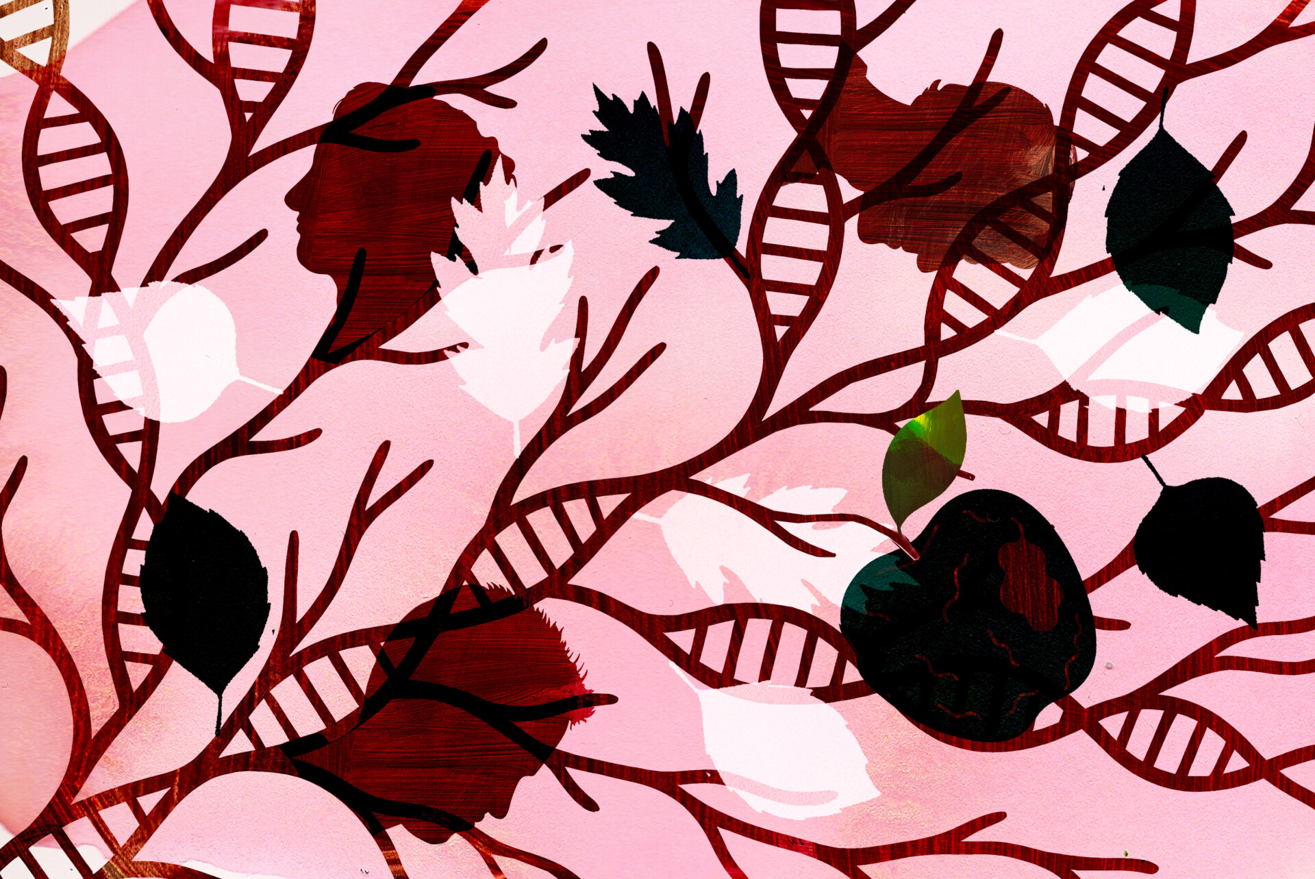 Truth, Lies and DNA Testing
