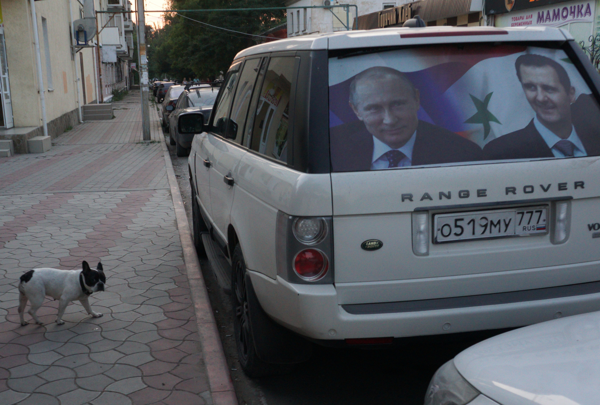 How an Email Sting Operation Unearthed a pro-Assad Conspiracy—and Russia’s Role In It